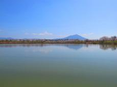 母子島遊水地