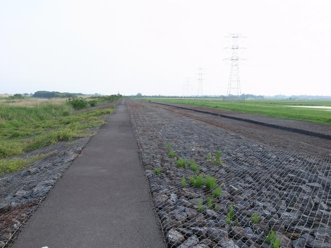 『小貝川　越流堤歩道』の画像