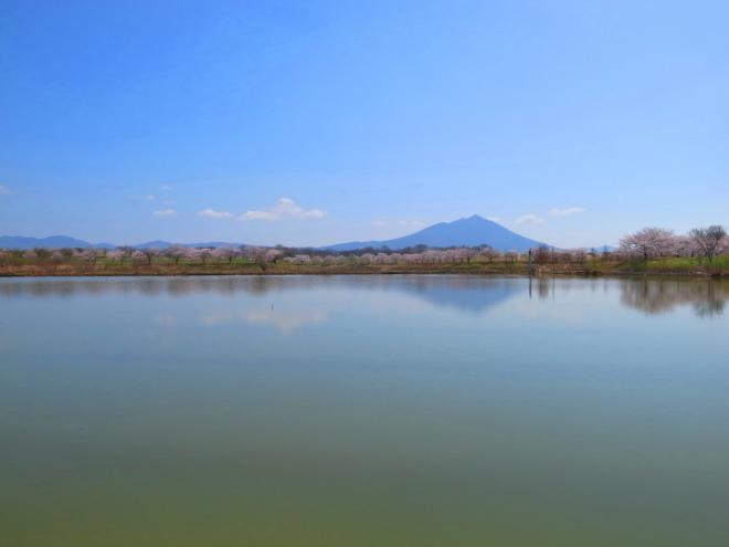 『母子島遊水地　日中』の画像