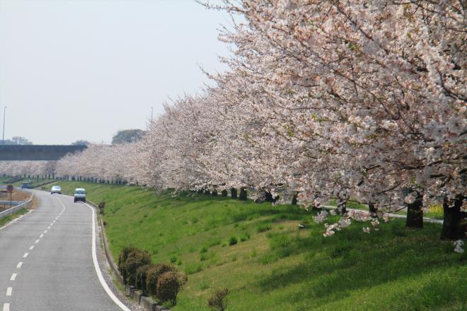 『勤行川　高島橋から』の画像