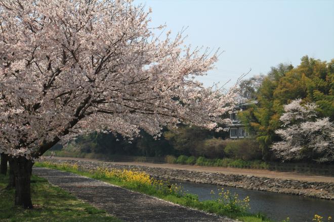 『勤行川　歩道』の画像