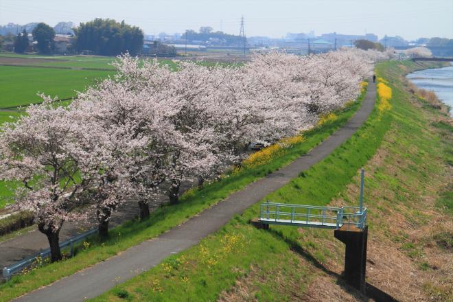 『勤行川　国府田付近』の画像