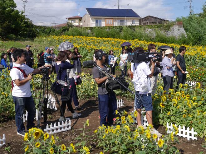 『もしもツアーズ　ミニひまわり園』の画像