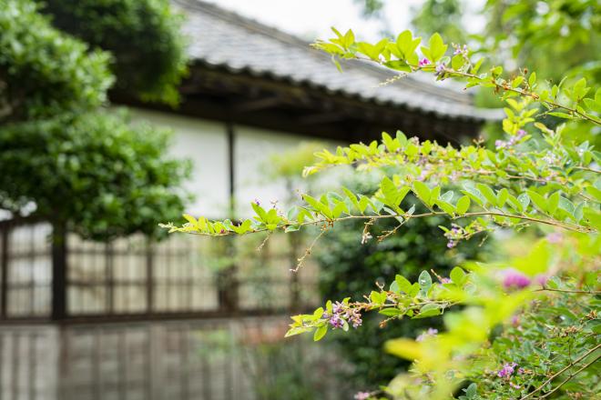 『明治・大正時代の町医者の家2』の画像