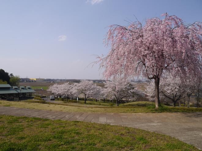 『宮山３』の画像